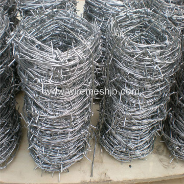 12*12 Double Twist Barbed Wire For Fence